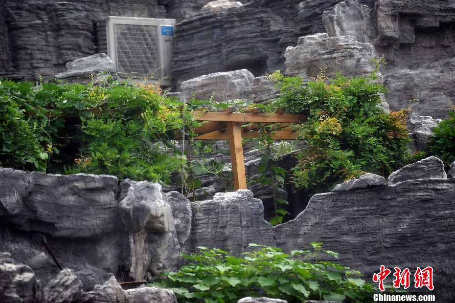 “樓頂別墅”樓下拉起警戒線 防高空墜物