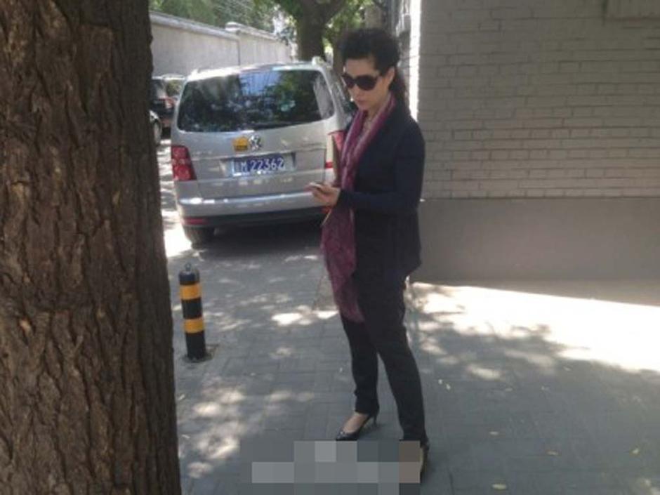 夢(mèng)鴿向公安部信訪辦公室遞交相關(guān)資料(圖)