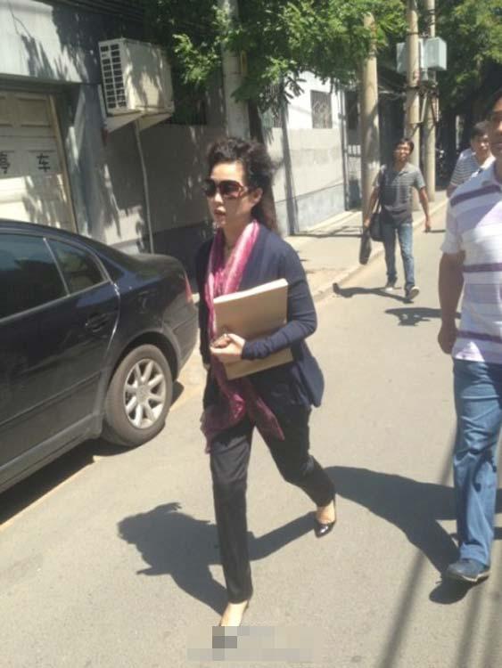 夢鴿向公安部信訪辦公室遞交相關(guān)資料(圖)