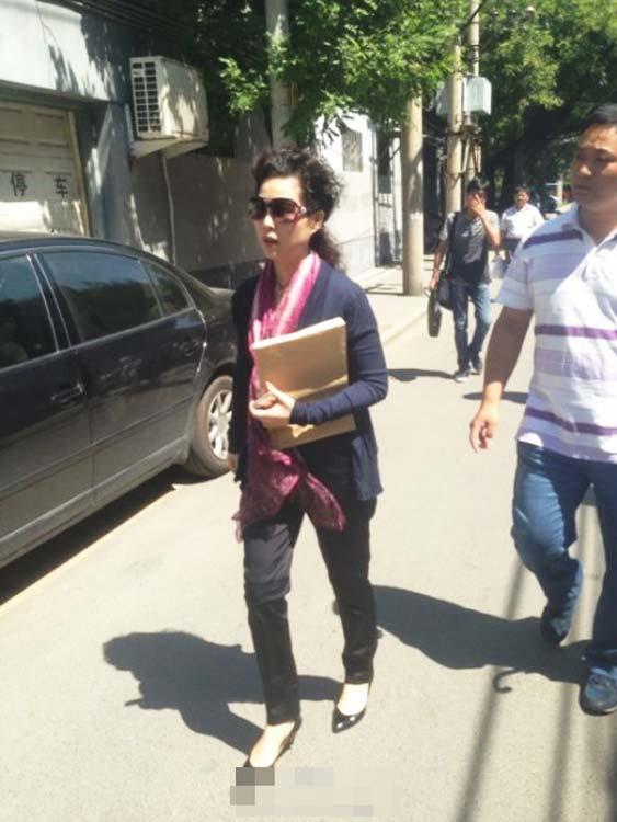 夢鴿向公安部信訪辦公室遞交相關資料(圖)