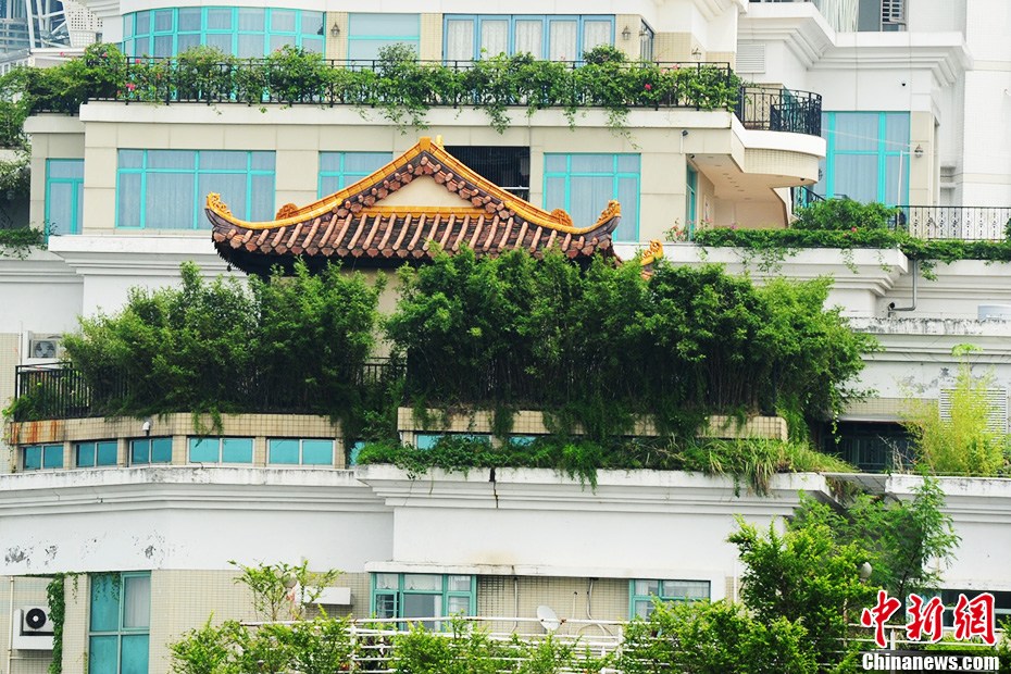 深圳現樓頂“廟宇” 政府部門介入調查