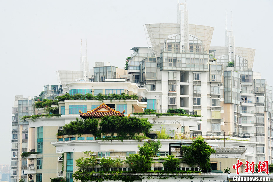 深圳現樓頂“廟宇” 政府部門介入調查