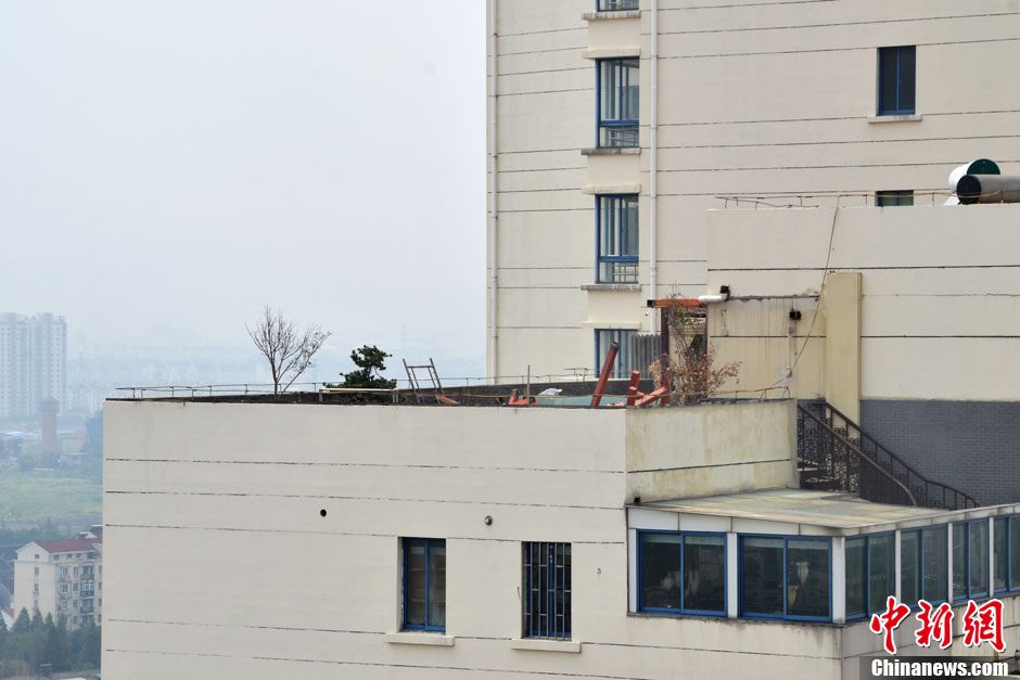 蘇州“樓頂園林”違建已拆除