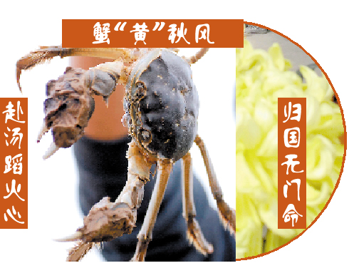 德國大閘蟹“戰敗”賠款 電商:“我們搞砸了”