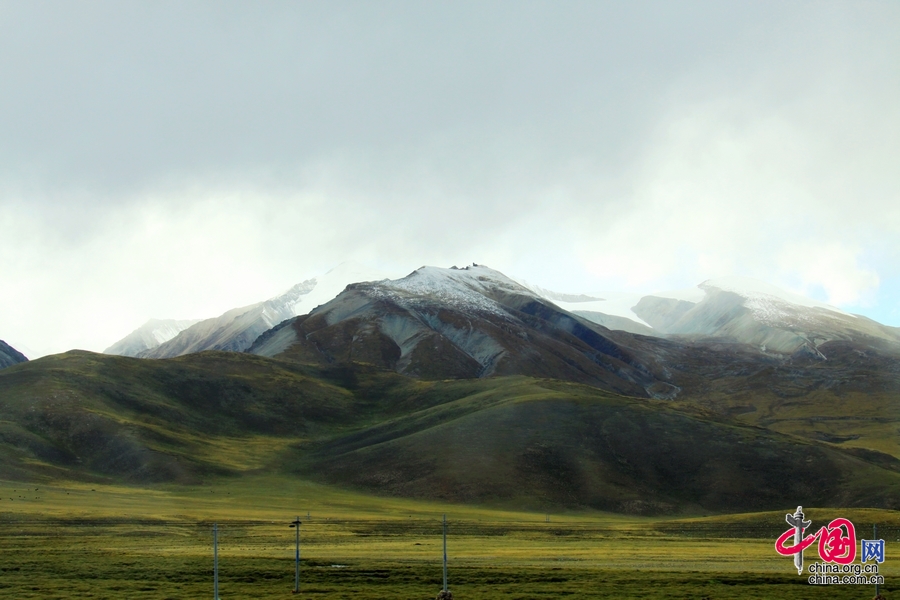 多彩西藏夏季行：從美麗圣湖到青藏高原腹地[組圖]