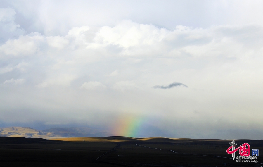 多彩西藏夏季行：從美麗圣湖到青藏高原腹地[組圖]