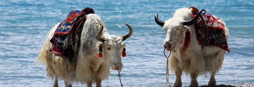 專家:ATM機確有零件摩擦聲 吐冥幣基本不靠譜