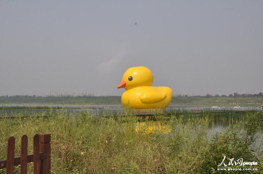 高清：北京大黃鴨拼接錯(cuò)誤變尖嘴雞 已連夜修復(fù)