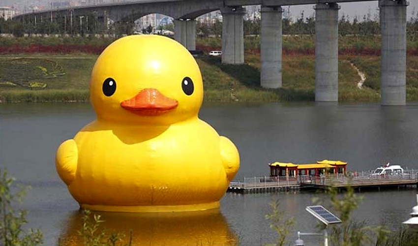 高清：北京大黃鴨拼接錯(cuò)誤變尖嘴雞 已連夜修復(fù)