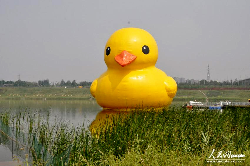 高清：北京大黃鴨拼接錯(cuò)誤變尖嘴雞 已連夜修復(fù)