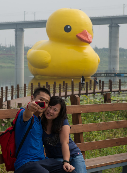 高清：北京大黃鴨拼接錯誤變尖嘴雞 已連夜修復