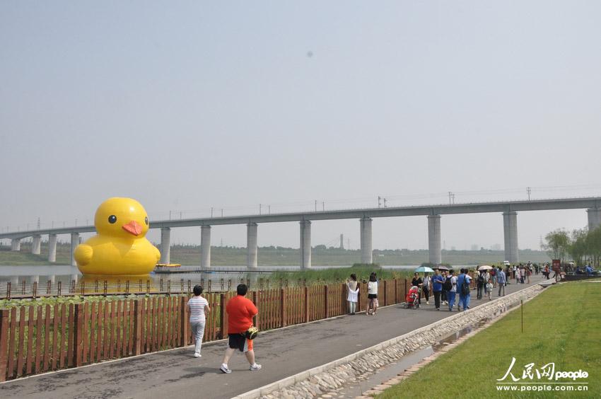 高清：北京大黃鴨拼接錯(cuò)誤變尖嘴雞 已連夜修復(fù)