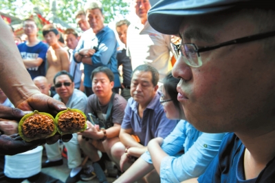 文玩核桃玩家熱衷