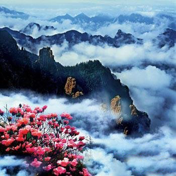 詭異無解！盤點地球上十大神秘之地