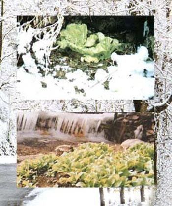 詭異無解！盤點地球上十大神秘之地