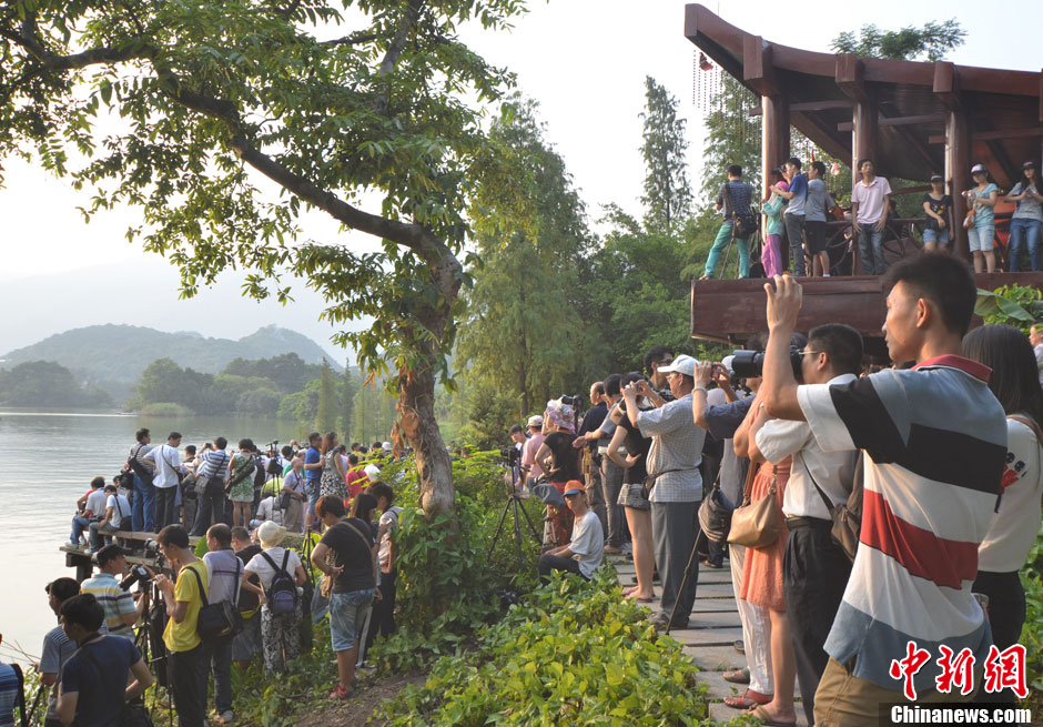 廣東肇慶“臥佛含丹”奇觀