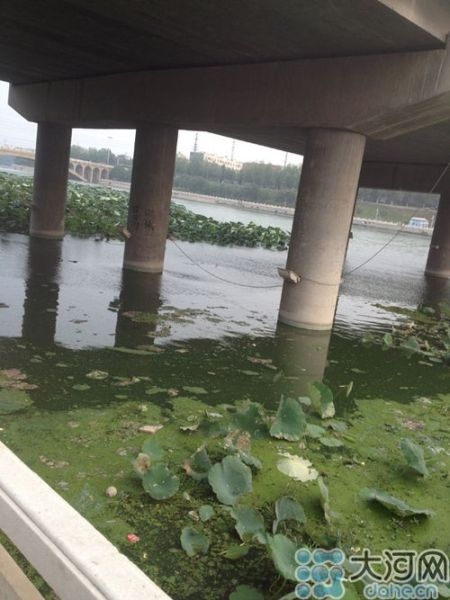 禹州九歲男童遍體刀傷致死 母親當(dāng)場精神失常