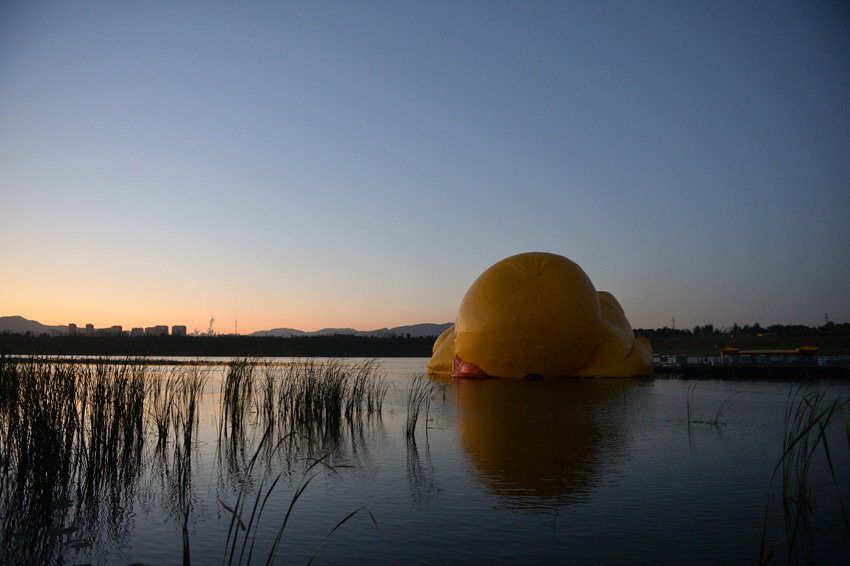 高清：大黃鴨“吻別”園博湖 開始“泄氣”