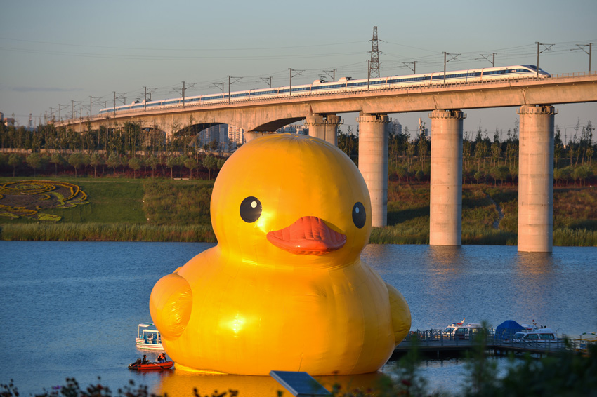 高清：大黃鴨“吻別”園博湖 開始“泄氣”