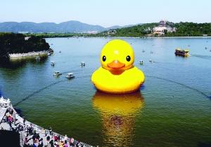 大黃鴨進昆明湖游人暴增 或將設游覽單行線(圖)