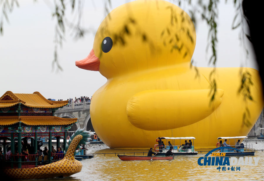 數(shù)萬名中外游客冒雨進(jìn)頤和園看“大黃鴨”