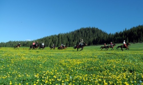 網友高呼吃不消 盤點九大坑爹景區