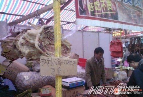 另類沖刺標語屌絲氣息濃郁 盤點那些令人無語的奇葩標語(組圖)