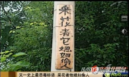 另類沖刺標語屌絲氣息濃郁 盤點那些令人無語的奇葩標語(組圖)