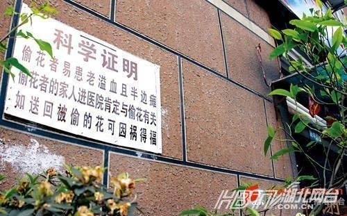 另類沖刺標語屌絲氣息濃郁 盤點那些令人無語的奇葩標語(組圖)