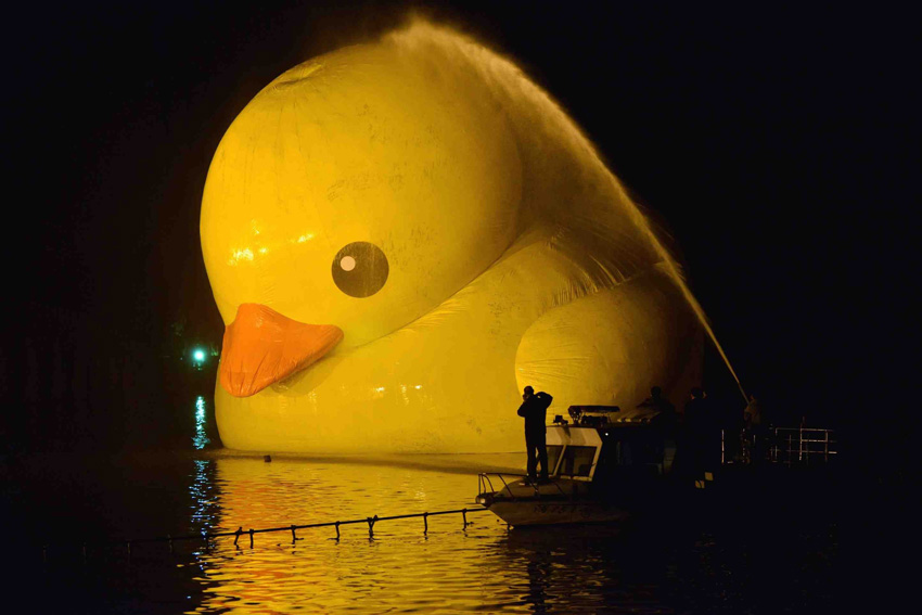 高清：大黃鴨昆明湖里“沖個澡”繼續在頤和園展出