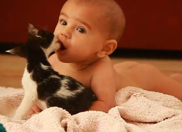 寶寶與萌寵爆笑親吻“互咬”瞬間