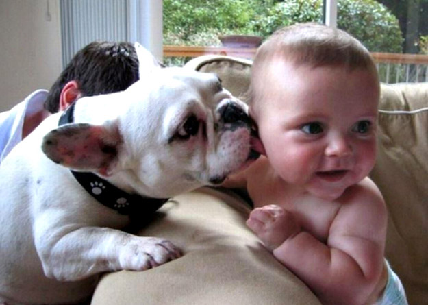 寶寶與萌寵爆笑親吻“互咬”瞬間