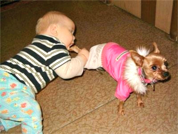 寶寶與萌寵爆笑親吻“互咬”瞬間