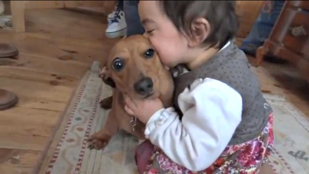 寶寶與萌寵爆笑親吻“互咬”瞬間