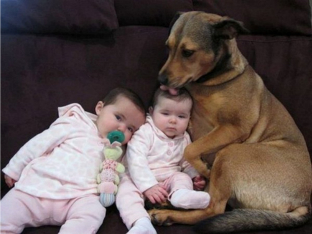 寶寶與萌寵爆笑親吻“互咬”瞬間