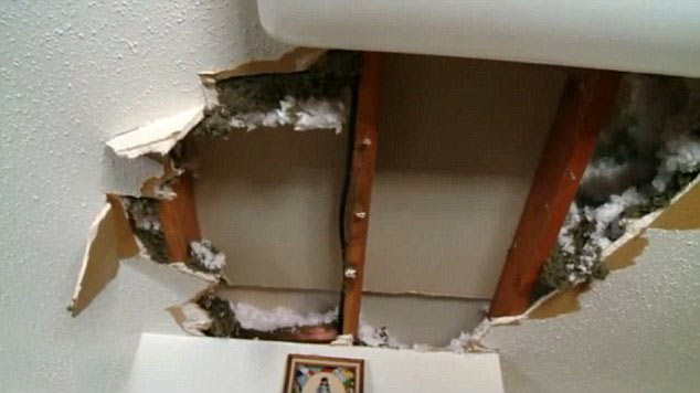 讓人哭笑不得的史上“最笨竊賊”