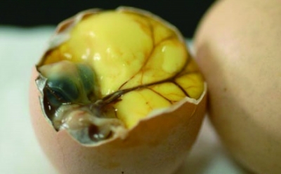 網(wǎng)友評出江蘇十大“怪菜” 炸蛆、活珠子上榜