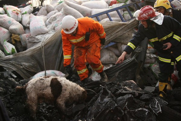 河南連霍大橋垮塌致10死 9個月未公布處理結果