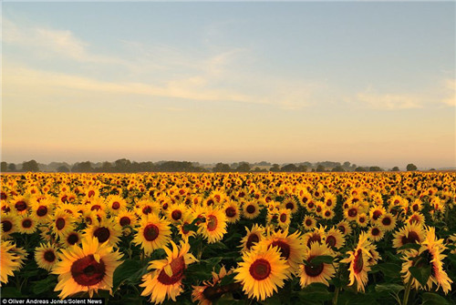 6歲神童具攝影天賦 巧選景拍壯觀唯美場面(圖)