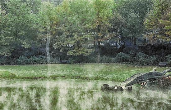 西湖水面騰起一根霧柱 網友:拍出仙氣來了