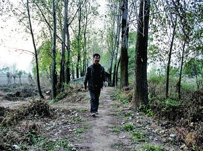 退伍老兵義務(wù)守島護(hù)林13年 無電燈無自來水(圖)