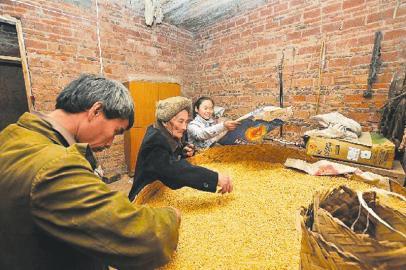 老漢擔心去世后養孫女無人照顧 為其儲存千斤谷子