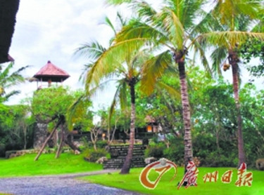 楊冪劉愷威明天大婚 只有唐嫣擔任伴娘（圖）