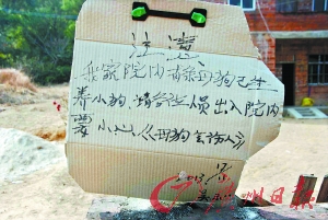 “我是扶人不是撞人” 大叔跳塘自殺證清白