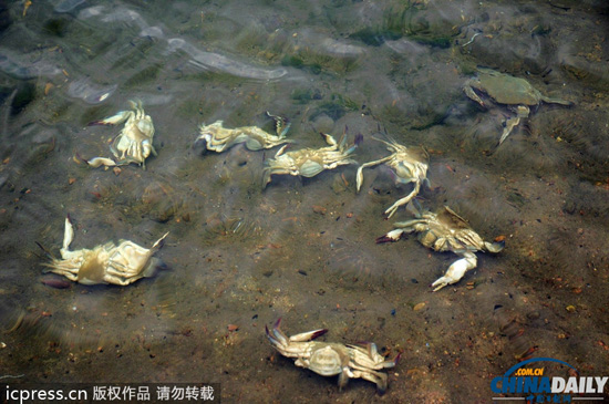 安監總局:青島燃爆事故暴露應急處置不力等問題