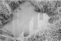 環(huán)保志愿者調(diào)查企業(yè)排污遭打 企業(yè)稱曾被人敲詐