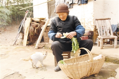 太湖八旬母親34年如一日守護兩精神殘疾兒子
