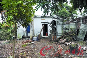 廣東一老人死家中近1年被發現 村民疑其被餓死