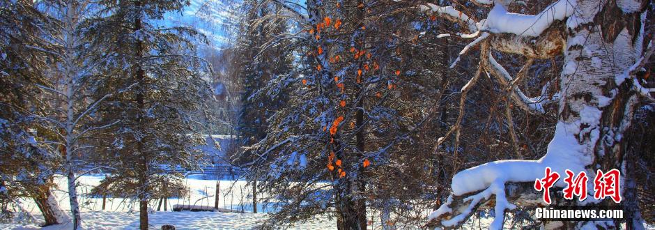 新疆北部山區村莊雪景醉人