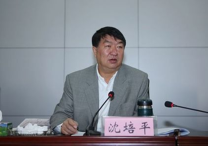 云南原副省長沈培平的學歷之謎:博士到教授僅花5個月